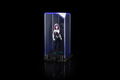 Super Hero Illuminate Gallery Collection Vol.2: Spider-Gwen thumbnail 11