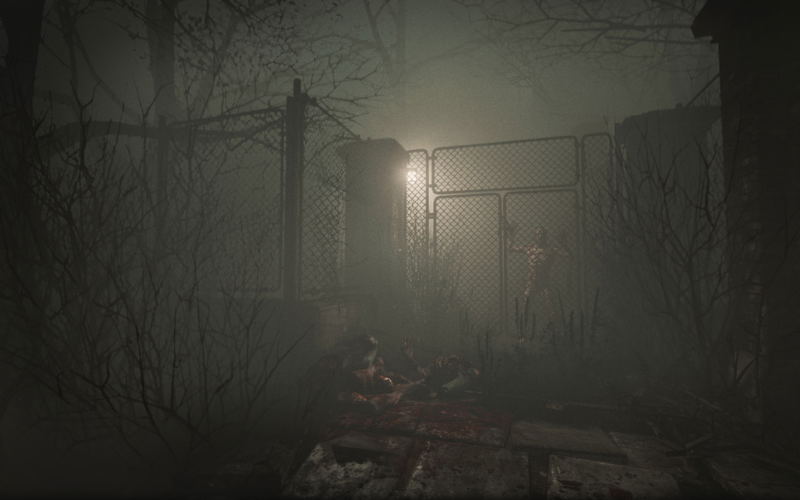 Outlast: Whistleblower (DLC) <span class="ext" style="background-color: #B0000F; color: #FFFFFF;">DLC</span> <span class="ext" style="background-color: #2a475e; color: #FFFFFF;">STEAM</span> <span class="ext ext_digital">digital</span> image 4