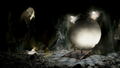 Truberbrook (Multi-Language) thumbnail 6