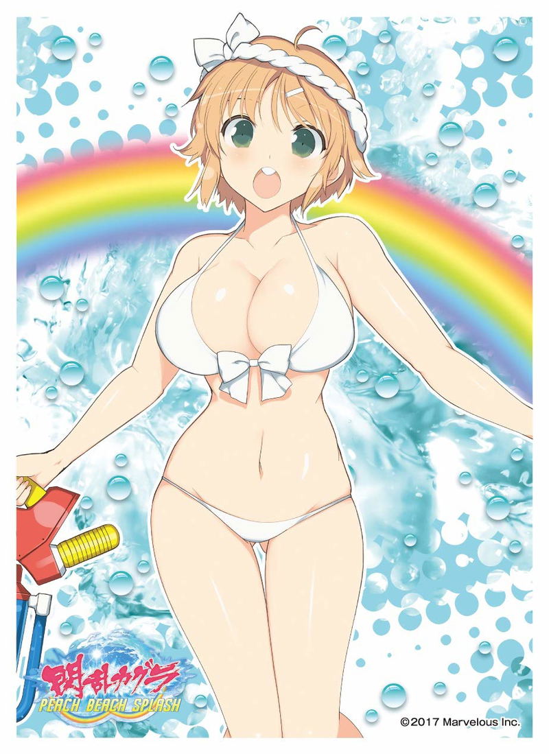Senran Kagura Peach Beach Splash Character Sleeve: Hanabi (B) image 1