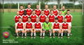 Soccer, Tactics & Glory thumbnail 10