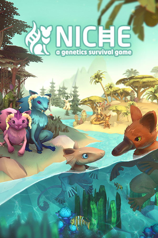 Niche STEAM digital — Import Game Deal