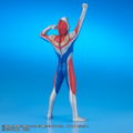 Daikaiju Series Ultraseven Dyna: Ultraman Dyna (Flash Type) Appearance Pose thumbnail 4