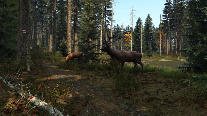 DayZ <span class="ext" style="background-color: #2a475e; color: #FFFFFF;">STEAM</span> <span class="ext ext_digital">digital</span> image 2