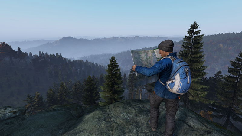 DayZ <span class="ext" style="background-color: #2a475e; color: #FFFFFF;">STEAM</span> <span class="ext ext_digital">digital</span> image 6