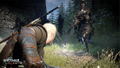The Witcher 3: Wild Hunt [Complete Edition] thumbnail 7