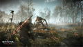 The Witcher 3: Wild Hunt [Complete Edition] thumbnail 9
