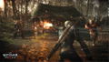 The Witcher 3: Wild Hunt [Complete Edition] thumbnail 11