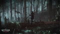 The Witcher 3: Wild Hunt [Complete Edition] thumbnail 15