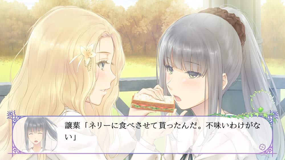 Flowers: Les Quatre Saisons for Nintendo Switch, Nintendo Switch 2