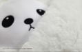 Naka no Hito Genome Jikkyouchu Plush: Pakamera thumbnail 4