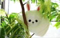 Naka no Hito Genome Jikkyouchu Plush: Pakamera thumbnail 5