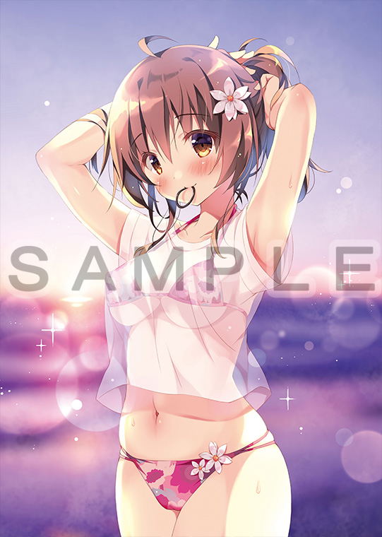 Pan B2 Wall Scroll: Cocoa image 3