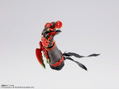 S.H.Figuarts Shinkocchou Seihou Kamen Rider OOO: Ankh thumbnail 3