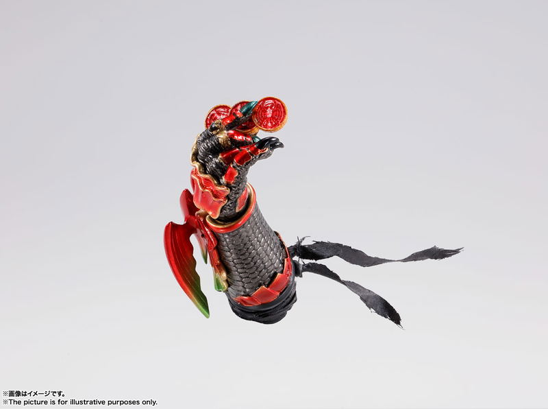 S.H.Figuarts Shinkocchou Seihou Kamen Rider OOO: Ankh image 3