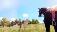 The Unicorn Princess thumbnail 6