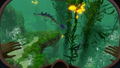 Subnautica <span class="ext" style="background-color: #2a475e; color: #FFFFFF;">STEAM</span> <span class="ext ext_digital">digital</span> thumbnail 11