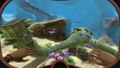Subnautica <span class="ext" style="background-color: #2a475e; color: #FFFFFF;">STEAM</span> <span class="ext ext_digital">digital</span> thumbnail 4