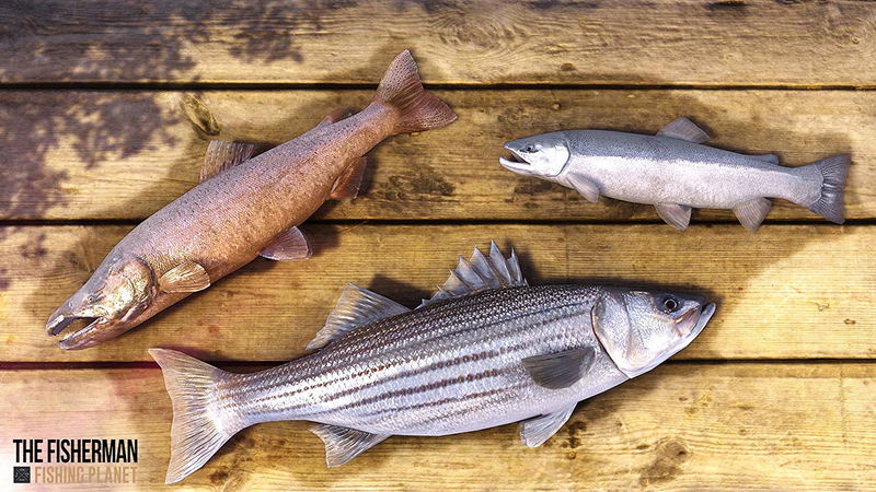 The Fisherman: Fishing Planet image 3