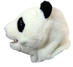 Action Mask Panda