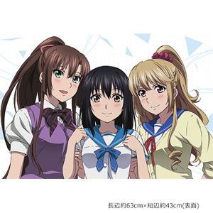 Strike the Blood Pillow Cover: Yukina & Asagi & Sayaka