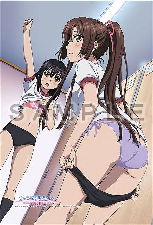 Strike the Blood Pillow Cover: Yukina & Asagi & Sayaka