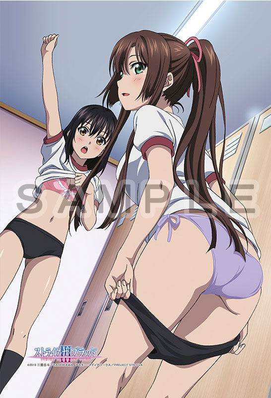 Strike the Blood Pillow Cover: Yukina & Asagi & Sayaka image 5