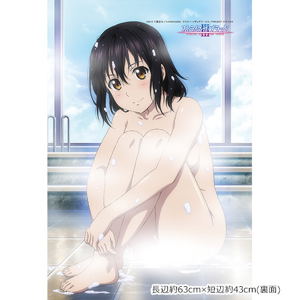 Strike the Blood Pillow Cover: Yukina / Santa Costume