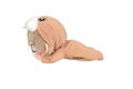 Love Live! Sunshine!! Nesoberi Plush: Watanabe You x Uchicchi (SS) thumbnail 2