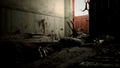 Resident Evil 7: biohazard (PlayStation Hits) thumbnail 3