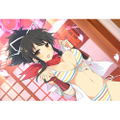 Shinobi Master Senran Kagura New Link Pillow Cover: Asuka thumbnail 2