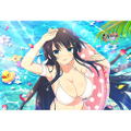 Shinobi Master Senran Kagura New Link Pillow Cover: Ikaruga thumbnail 3