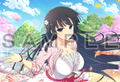 Shinobi Master Senran Kagura New Link Pillow Cover: Ikaruga thumbnail 4