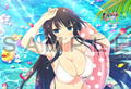 Shinobi Master Senran Kagura New Link Pillow Cover: Ikaruga thumbnail 5