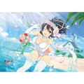 Shinobi Master Senran Kagura New Link B2 Wall Scroll: Asuka Wedding thumbnail 2