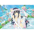 Shinobi Master Senran Kagura New Link B2 Wall Scroll: Ikaruga Wedding thumbnail 2