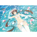 Shinobi Master Senran Kagura New Link B2 Wall Scroll: Ryobi Wedding thumbnail 2