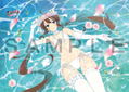 Shinobi Master Senran Kagura New Link B2 Wall Scroll: Ryobi Wedding thumbnail 3
