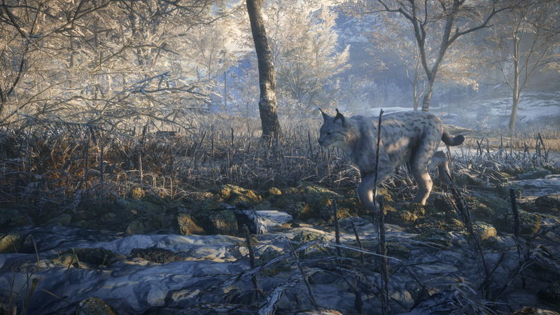 TheHunter: Call of the Wild - Medved-Taiga (DLC) <span class="ext" style="background-color: #B0000F; color: #FFFFFF;">DLC</span> <span class="ext" style="background-color: #2a475e; color: #FFFFFF;">STEAM</span> <span class="ext ext_digital">digital</span> image 6
