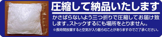 Two Dimension Cospa Original Dakimakura Body (160cm) image 3