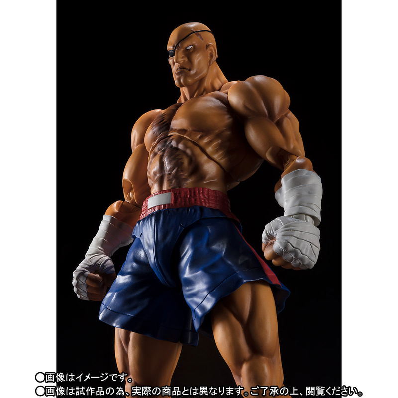 S.H.Figuarts Street Fighter V: Sagat image 3