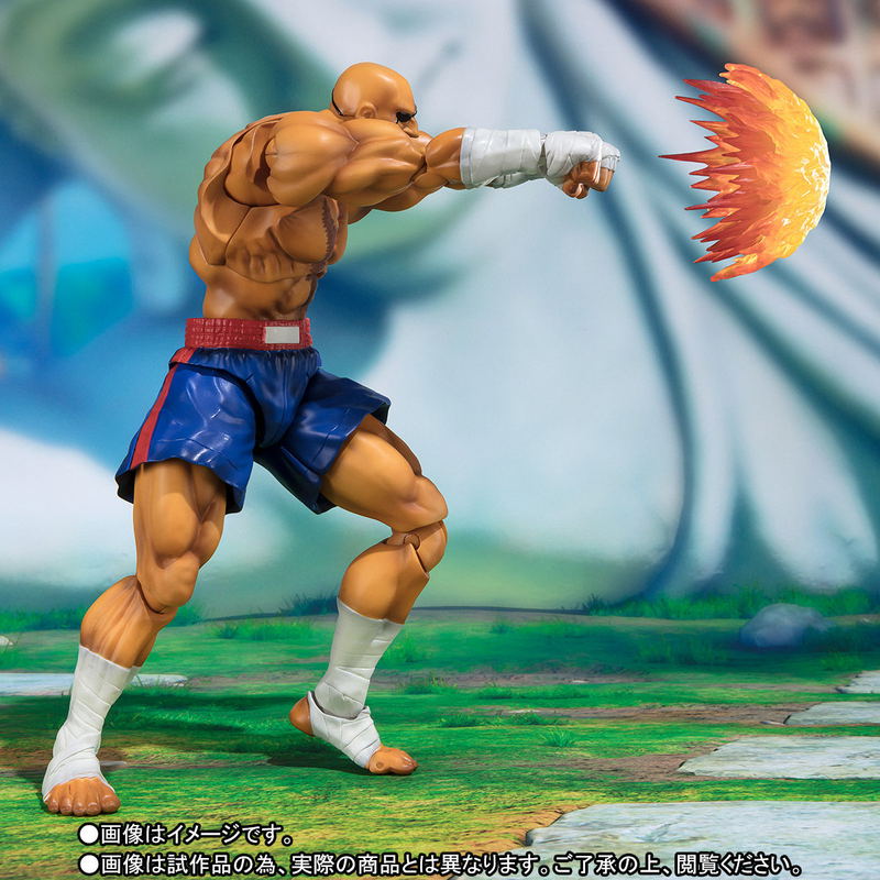 S.H.Figuarts Street Fighter V: Sagat image 4