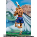 S.H.Figuarts Street Fighter V: Sagat thumbnail 5