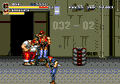 Bare Knuckle III thumbnail 9