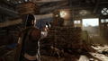 Days Gone (Value Selection) thumbnail 11