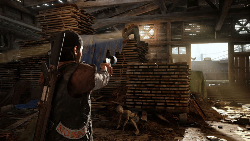 Days Gone (Value Selection) image 11