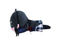 Yahari Ore no Seishun Love-come wa Machigatteiru Nesoberi Plush: Yukino Yukinoshita (M) thumbnail 2