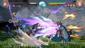 Granblue Fantasy Versus [Premium Edition] thumbnail 6