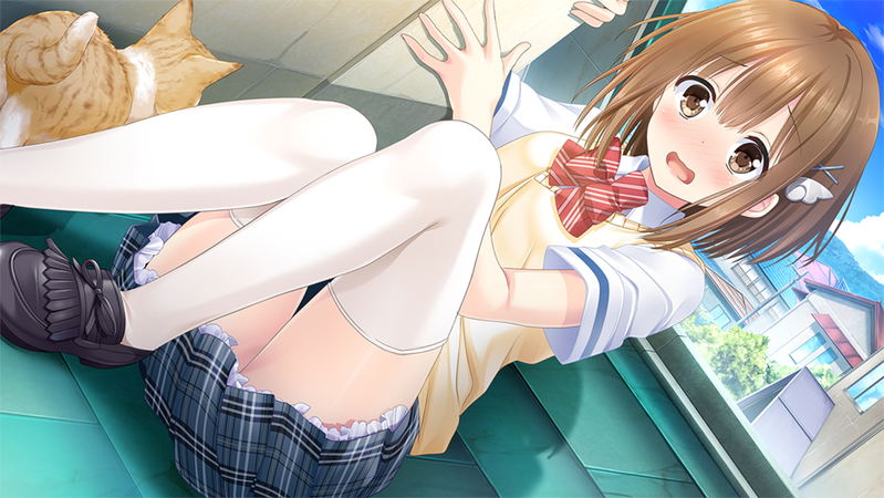 Love Clear image 3