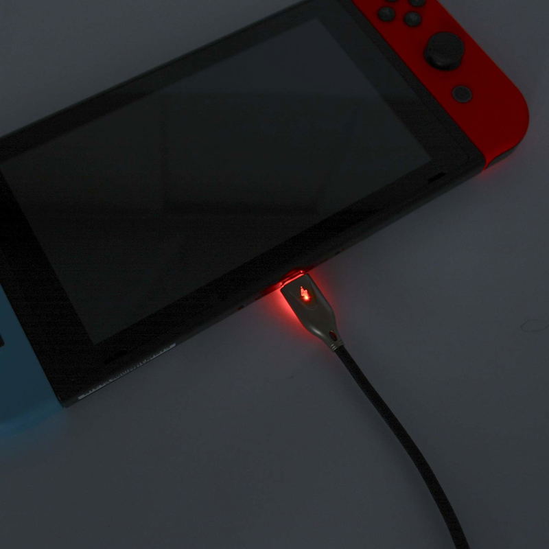 Light UP! Type-C Cable for Nintendo Switch (1 m) image 5